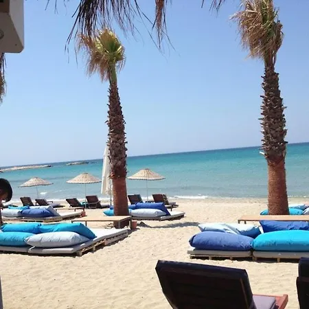 Zeytinycesme L Tiny & Farm L