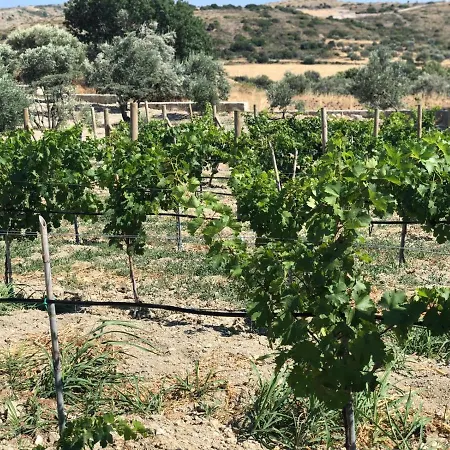 Zeytinycesme L Tiny & Farm L Vakantiehuis Çeşme