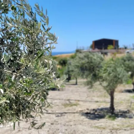 Vakantiehuis Zeytinycesme L Tiny & Farm L *