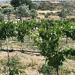 Zeytinycesme L Tiny & Farm L Ferienhaus Çeşme